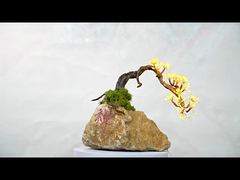 Solid wood bonsai lamp