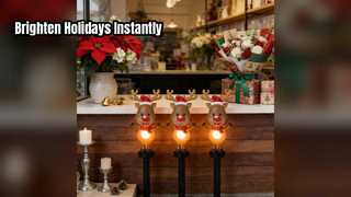 Christmas Stake Lights Brighten Your Holiday
