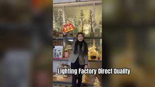 A coco in a lighting factory